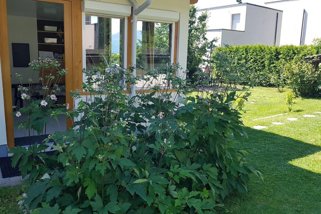 Wohnung Mit Balkon In Velden - Appartment Berge Bytilly フェルデン・アム・ヴェルターゼー エクステリア 写真